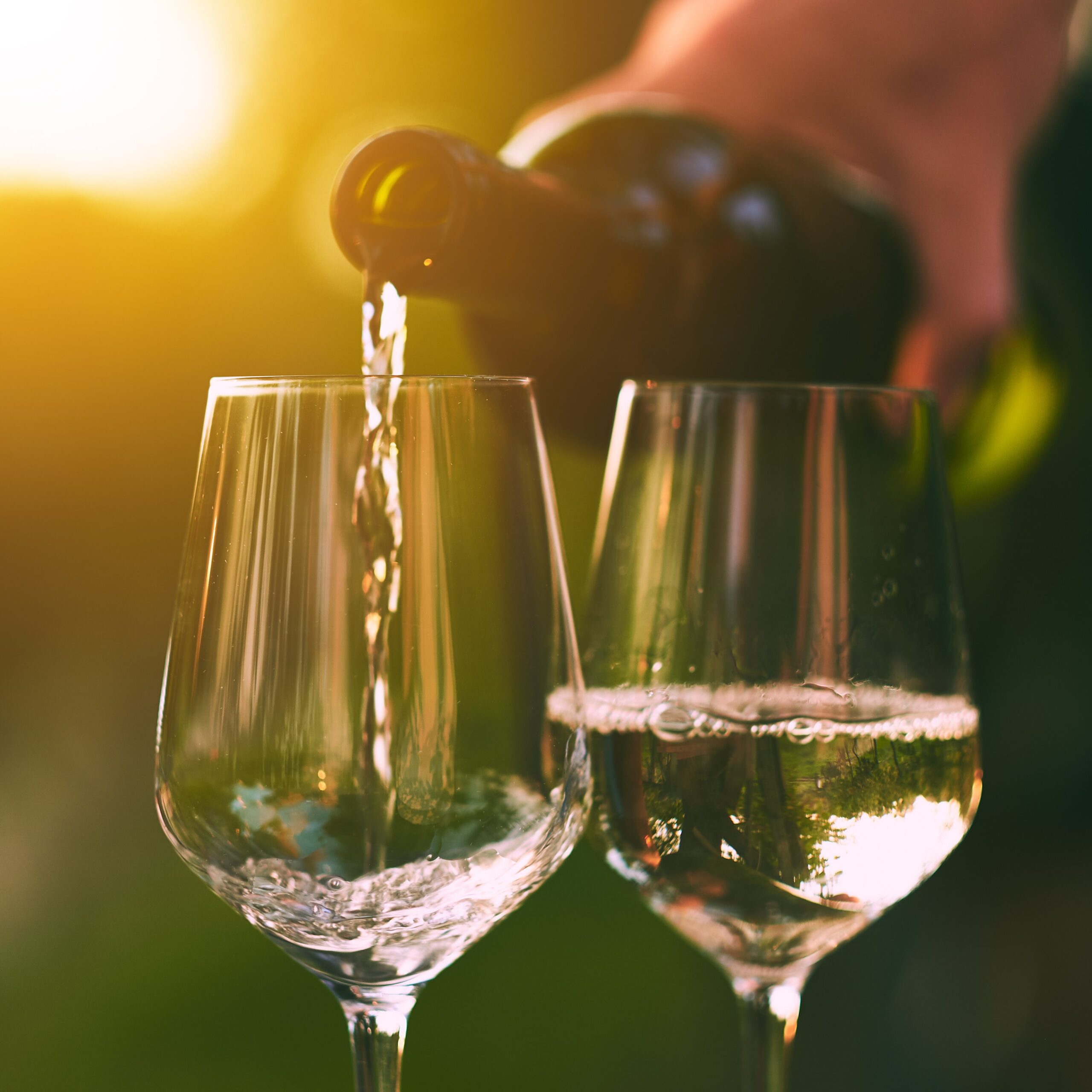 Vine, Field & Fire: August Wine Dinner