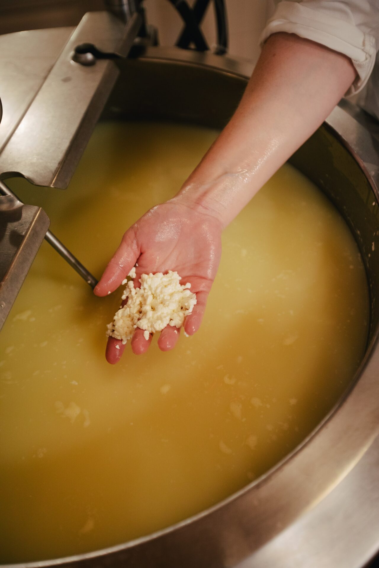 Bellsong creamery cheese making process