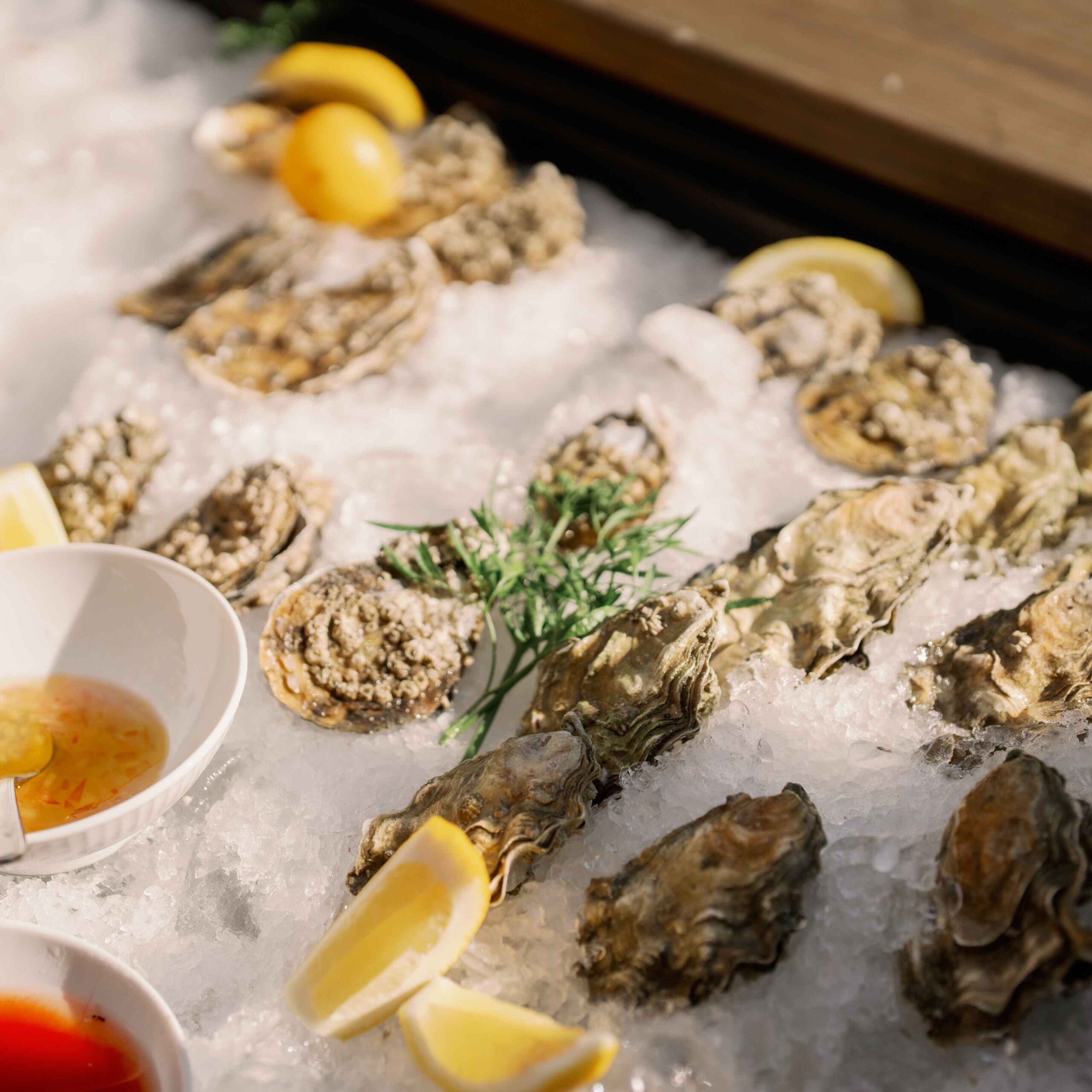 Oysterology 201: A Deep Dive into Oyster Aquaculture & Appreciation