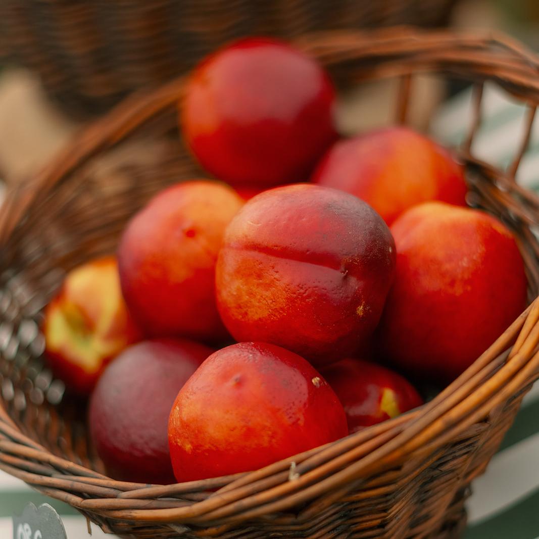 Farm Friday: Late Summer Baking