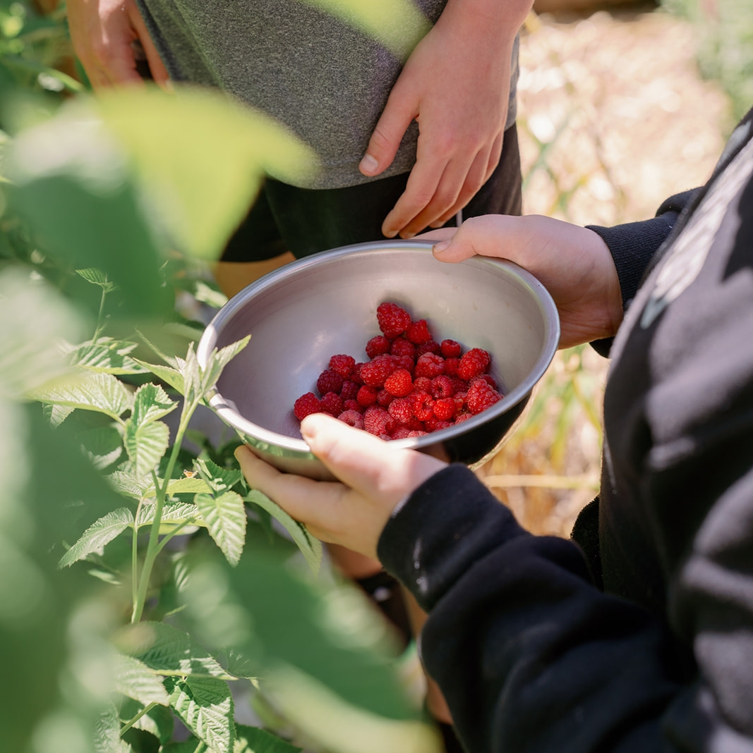 Bella Luna Harvest Kitchen (Ages 7-11)