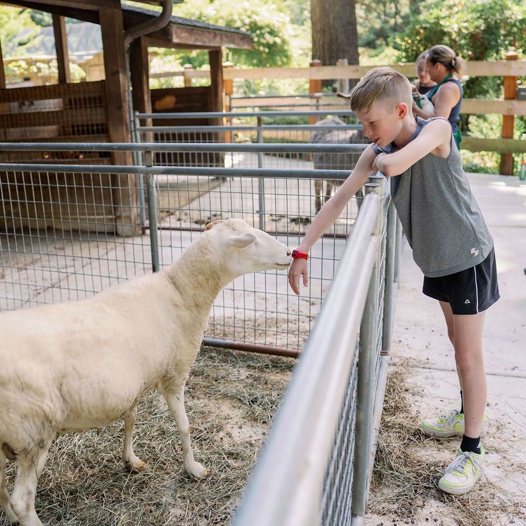 Thyme on the Farm (Ages 8+)