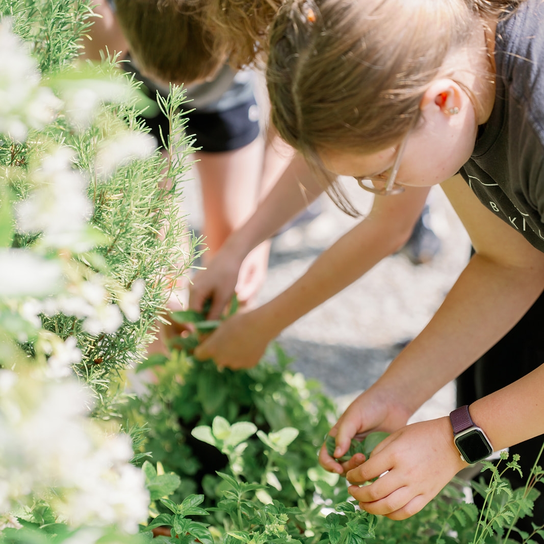 Whisk & Wander at Bella Luna (Ages 6-10)