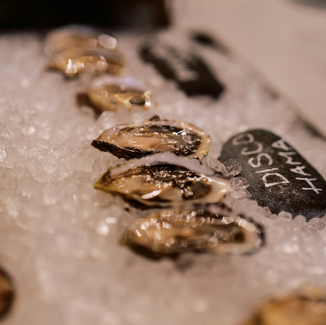 Oysterology 201: A Deep Dive into Oyster Aquaculture & Appreciation