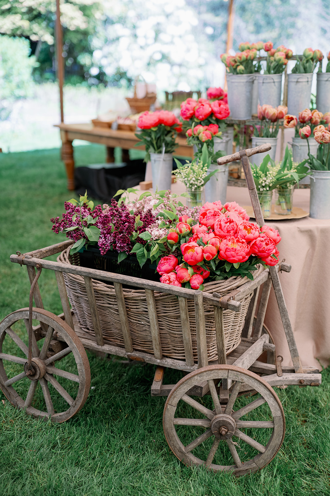 Bella Luna Farms - Bella Luna Farms