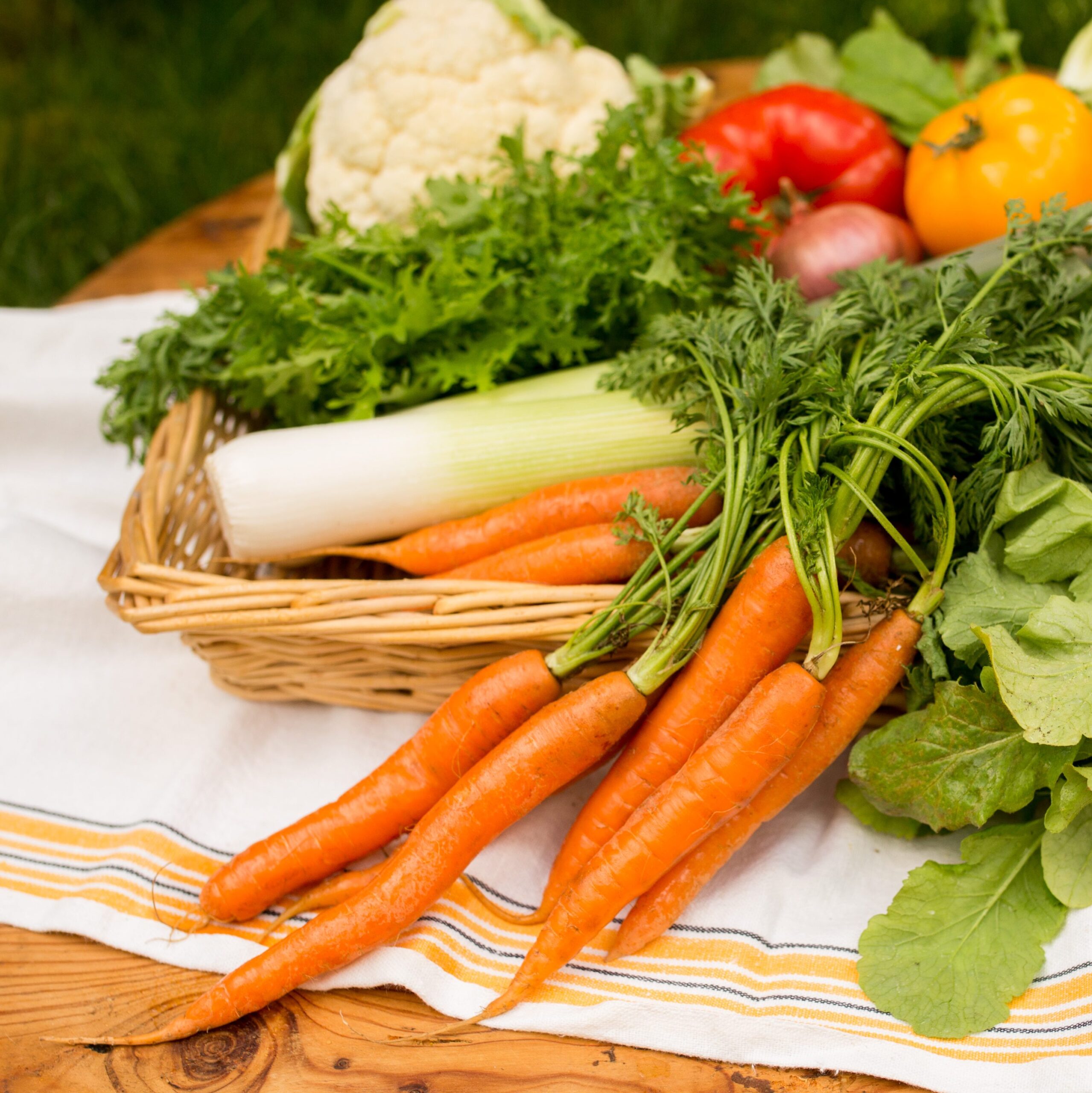 Preserving the Harvest: An Intro to Pickling & Fermentation