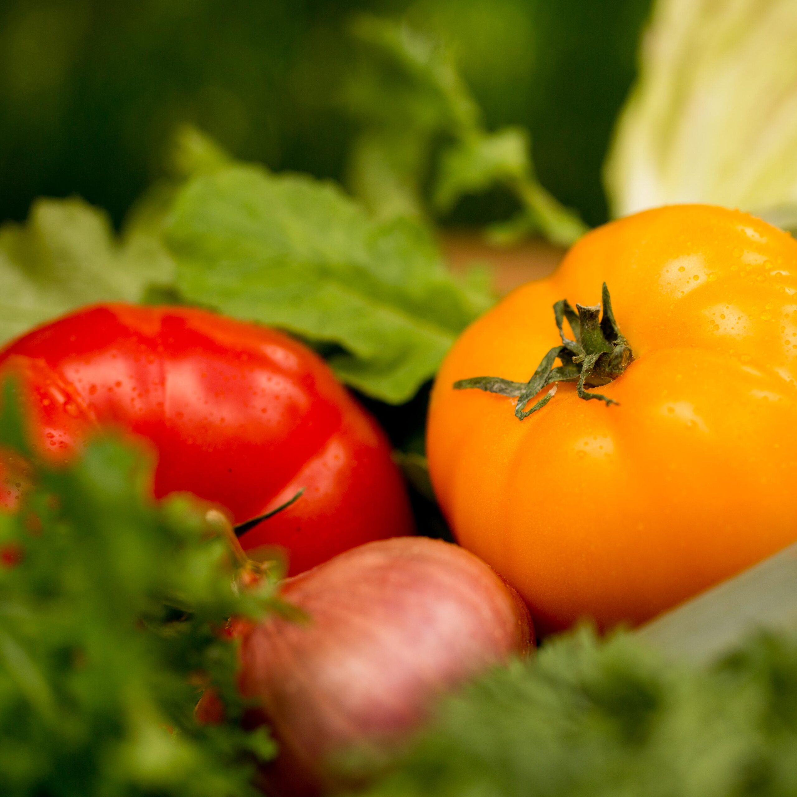 Farm Friday: Late Summer Baking