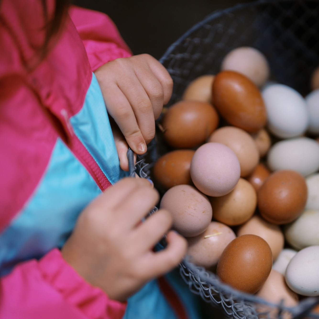 Whisk & Wander at Bella Luna (Ages 6-10)