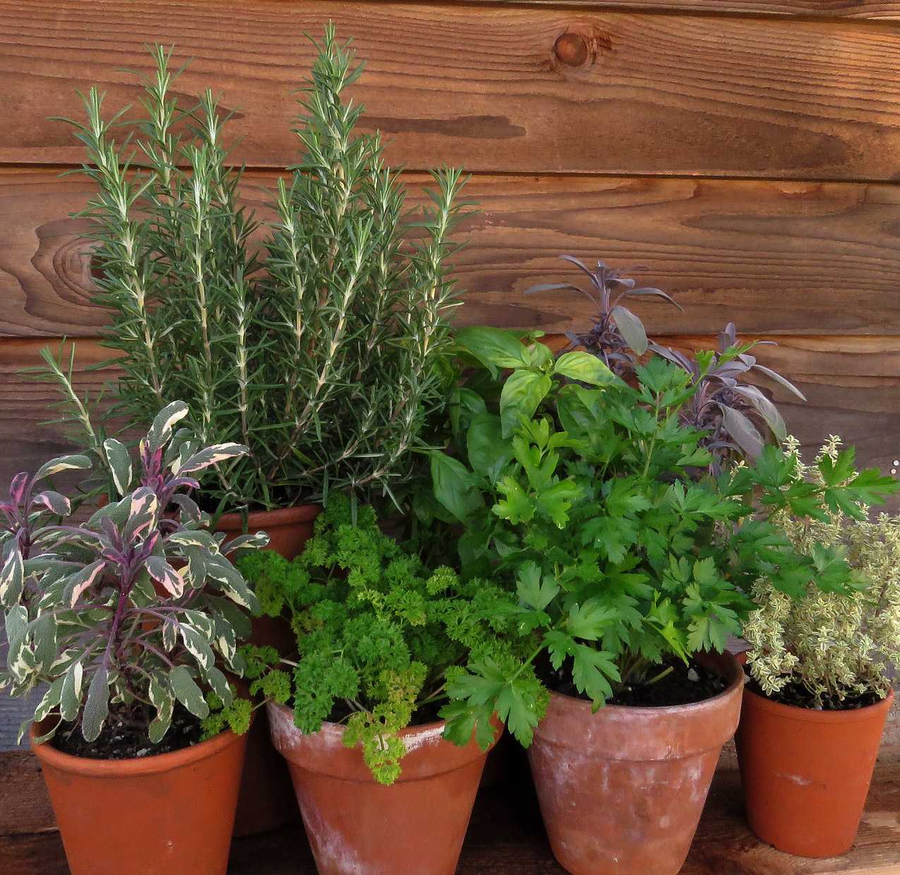 Gather & Grow: A Mother's Day Celebration