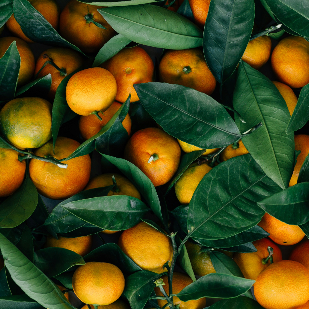 Preserving Winter Citrus