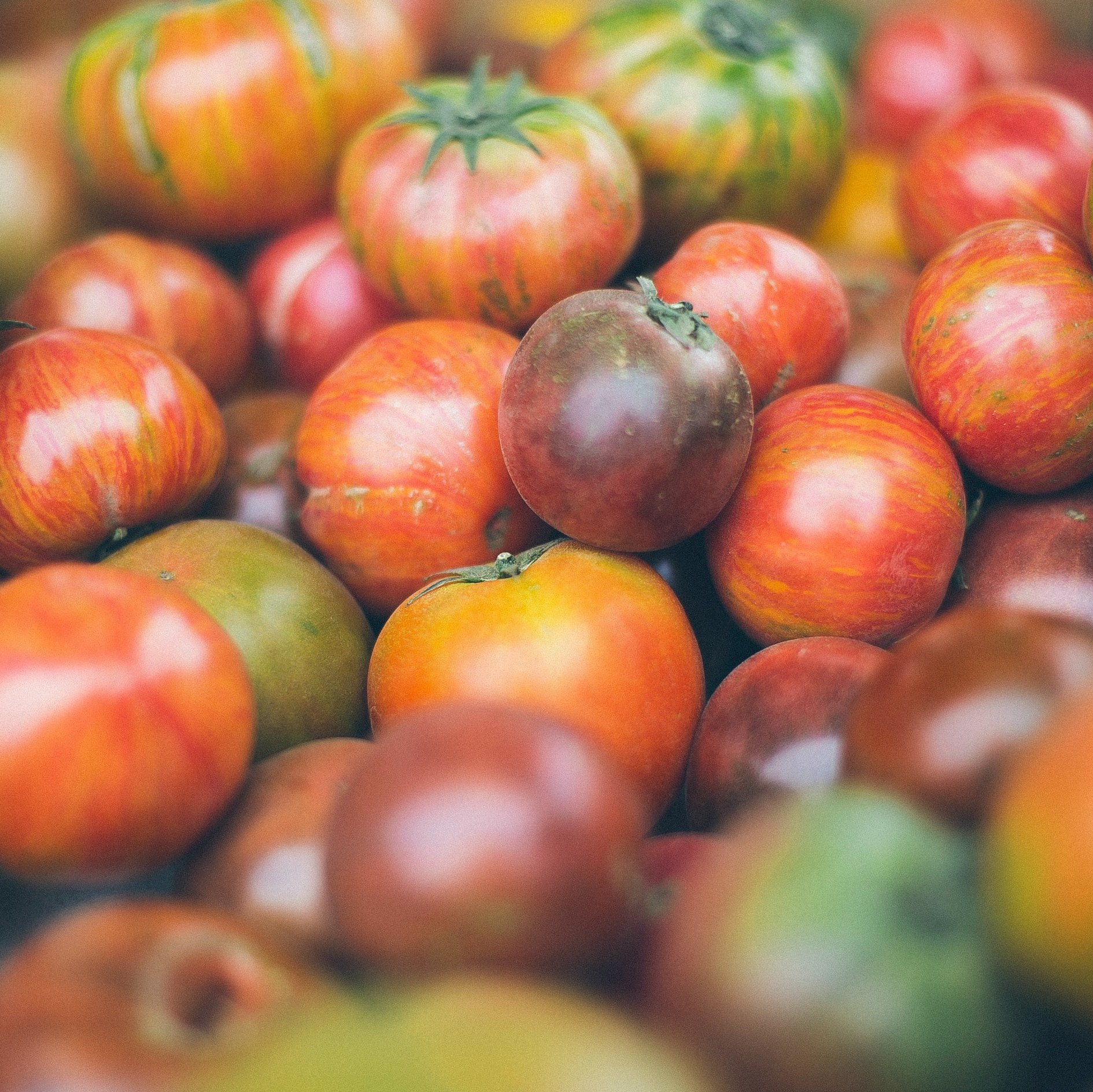 End-of-Summer Harvest Feast