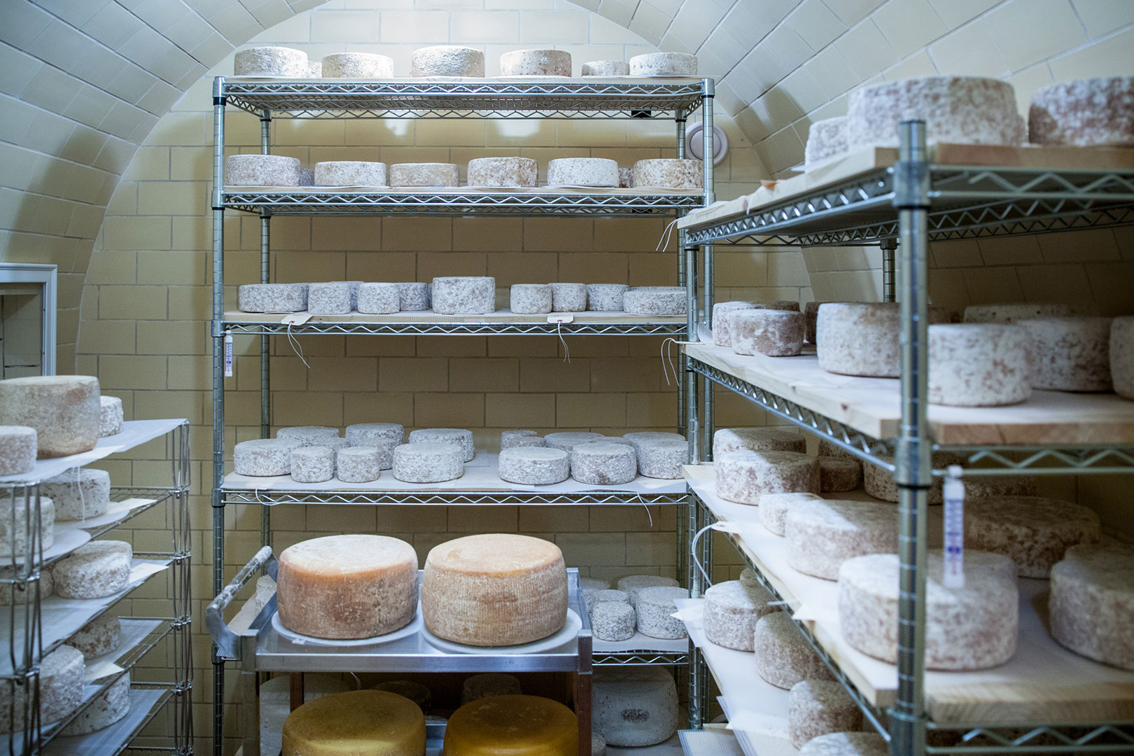 bellsong-creamery-cheese-cave