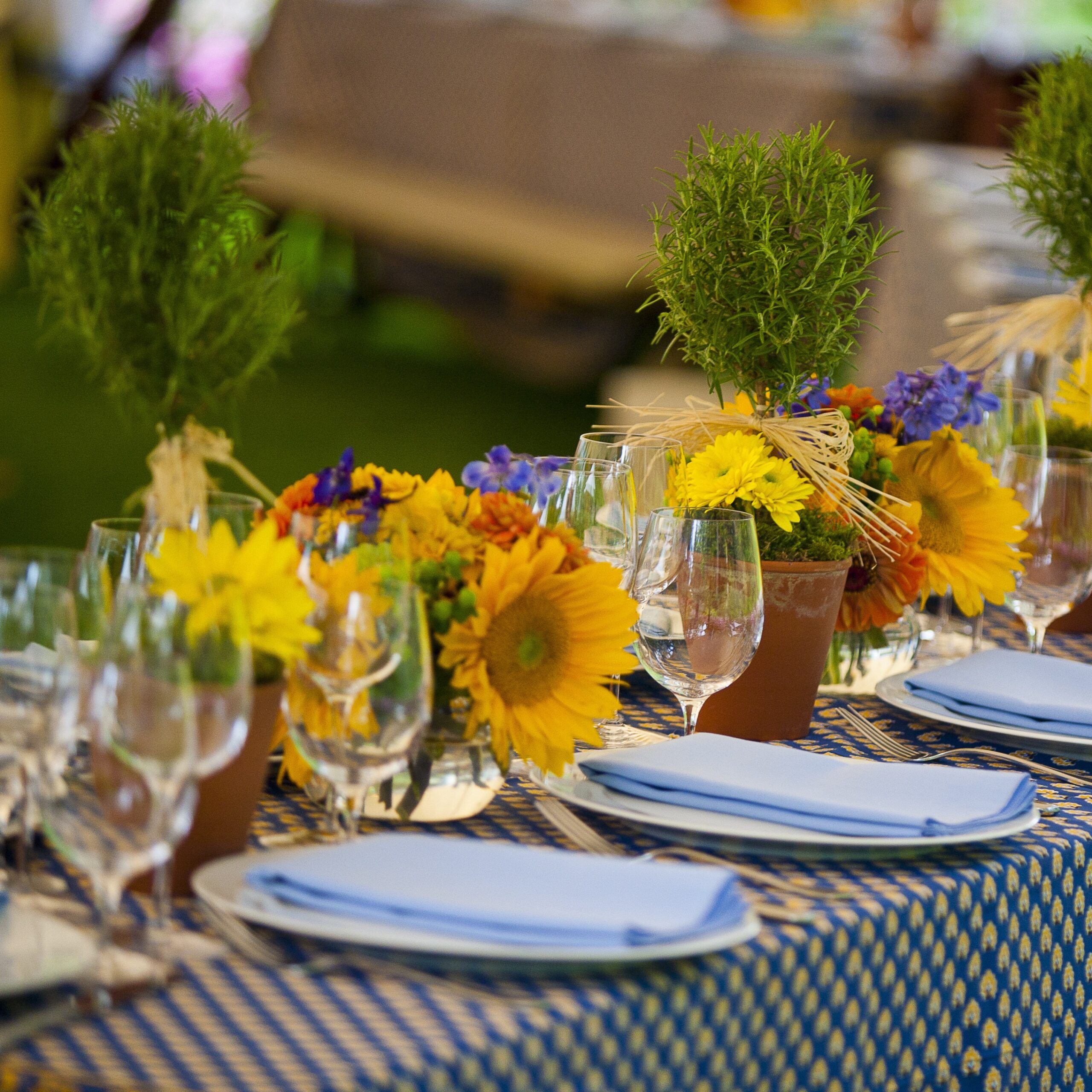 Bastille Day Dinner