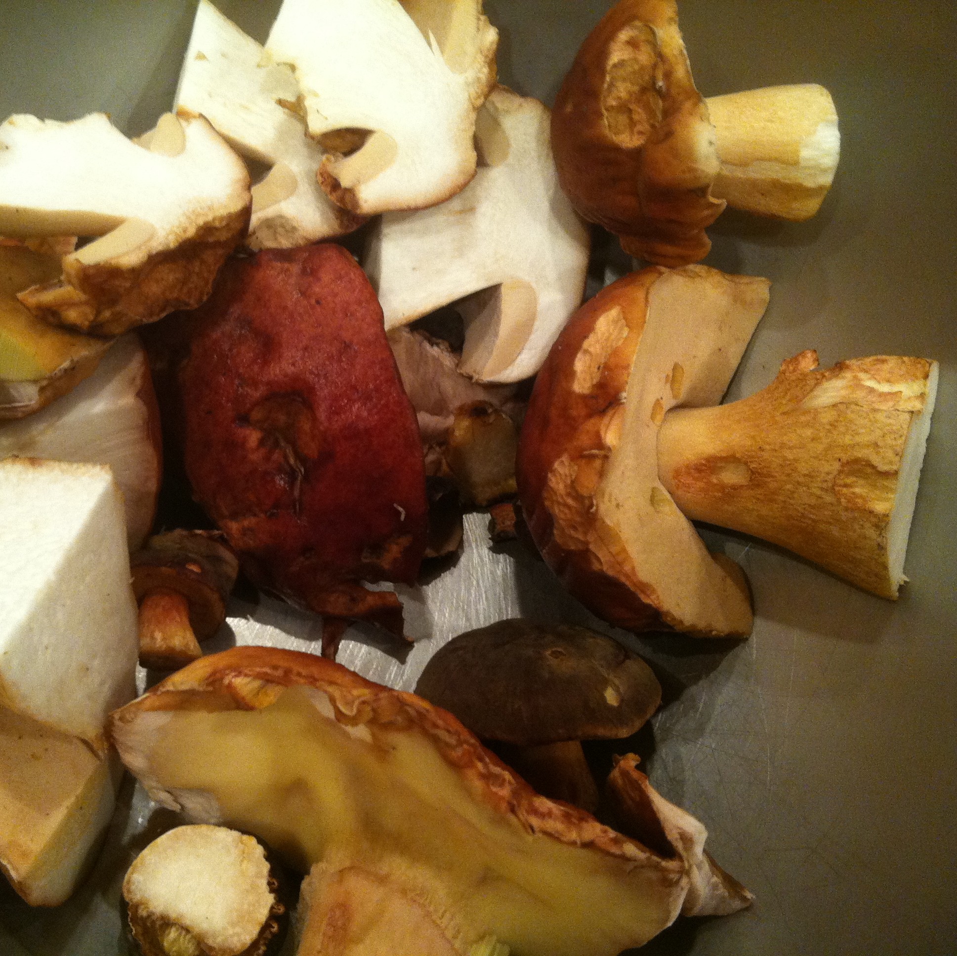 Wild & Wonderful: Cooking with October’s Mushrooms