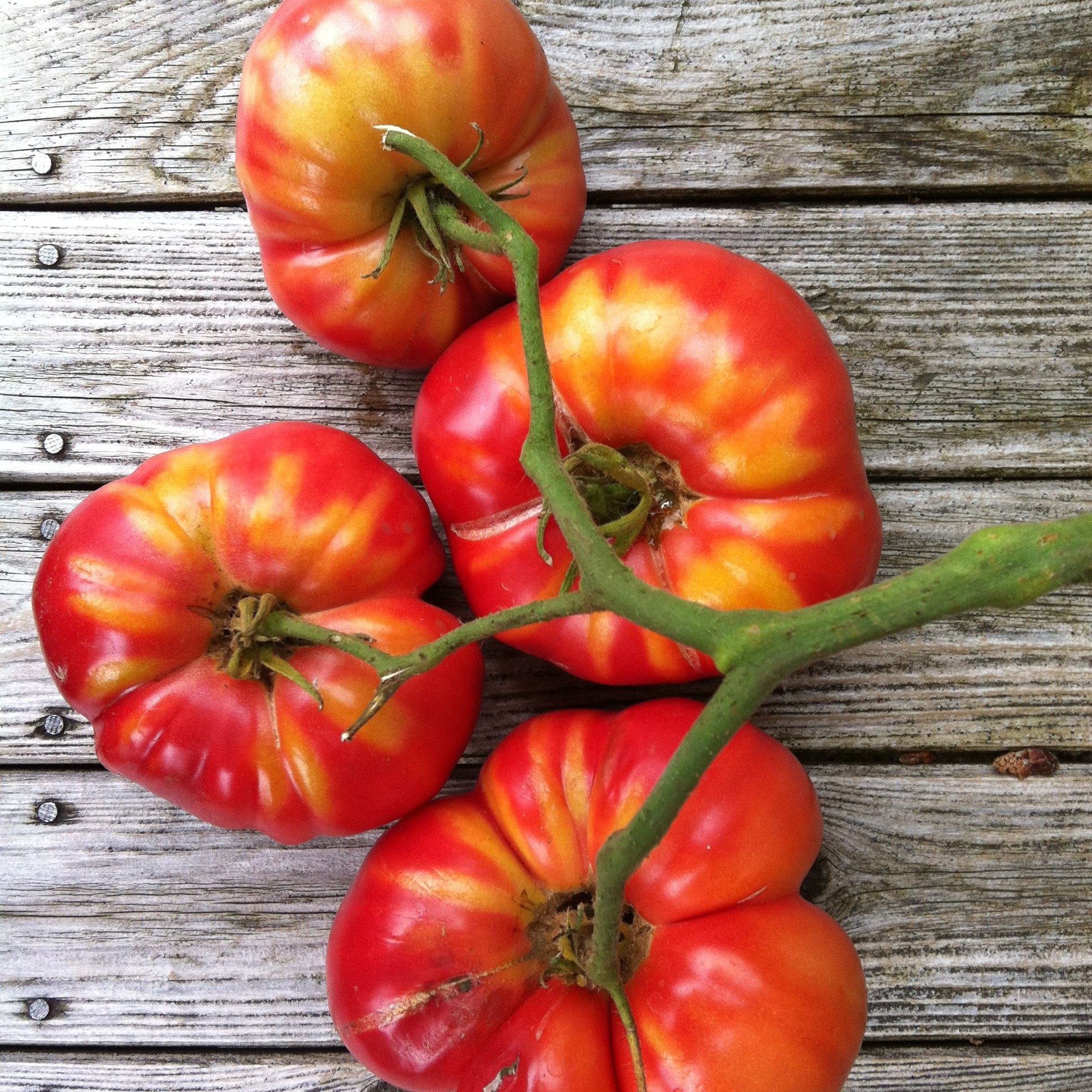 Savor the Mediterranean: A Wood-Fired Feast