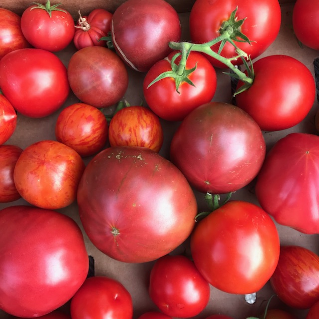Farm Friday: Late Summer Baking