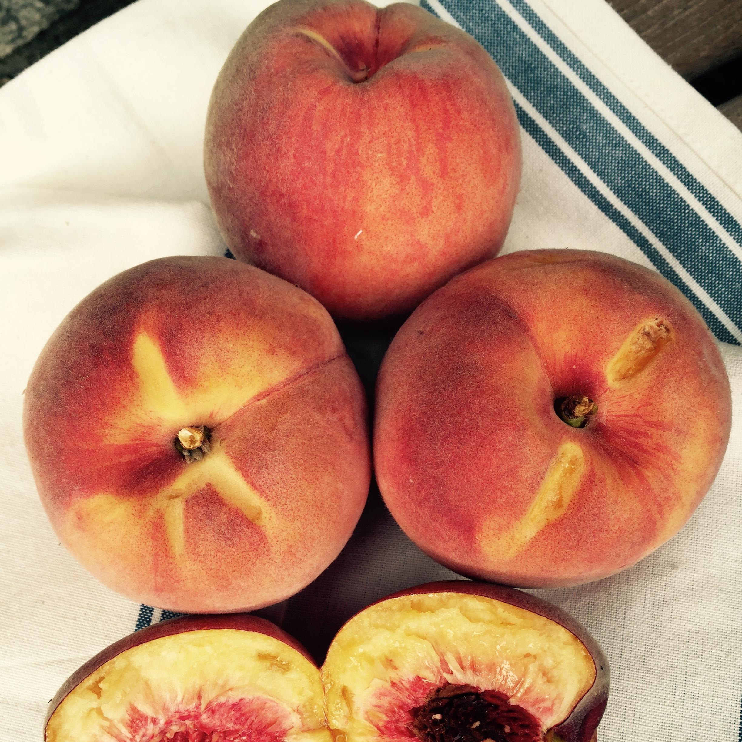 Farm Friday: Late Summer Baking