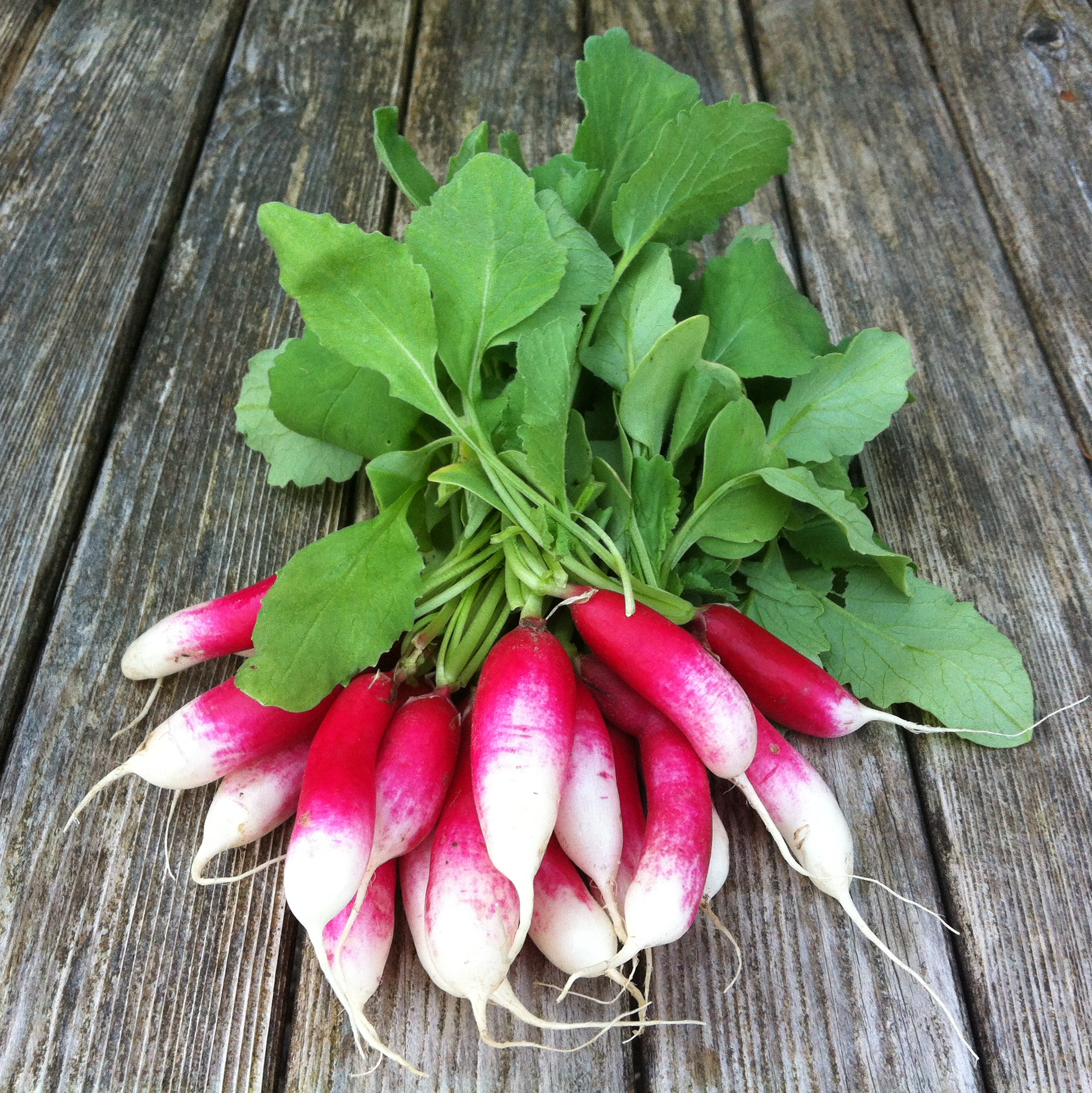 Summer Supper