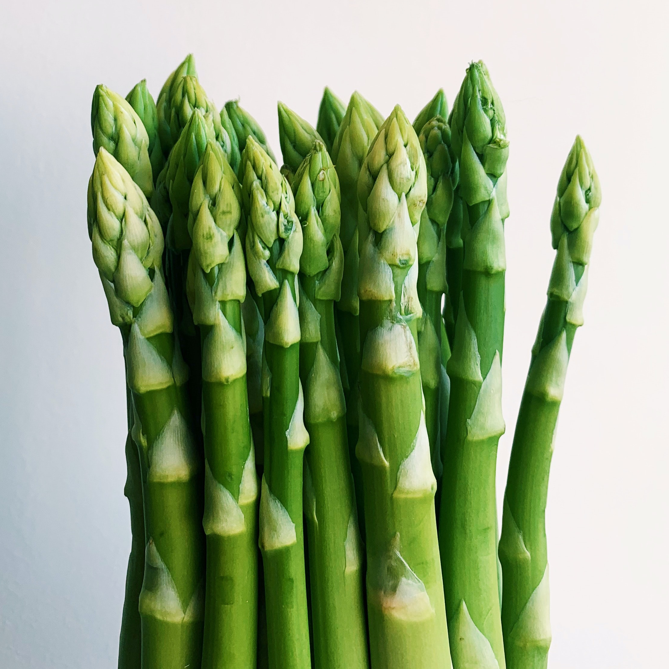 Asparagus, Many Ways